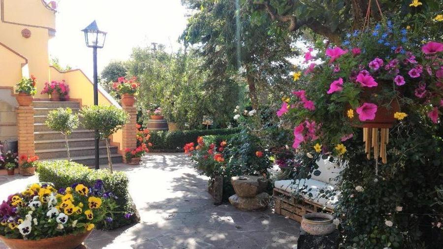 Bed And Breakfast Val Di Lupa Castellina Marittima Kültér fotó