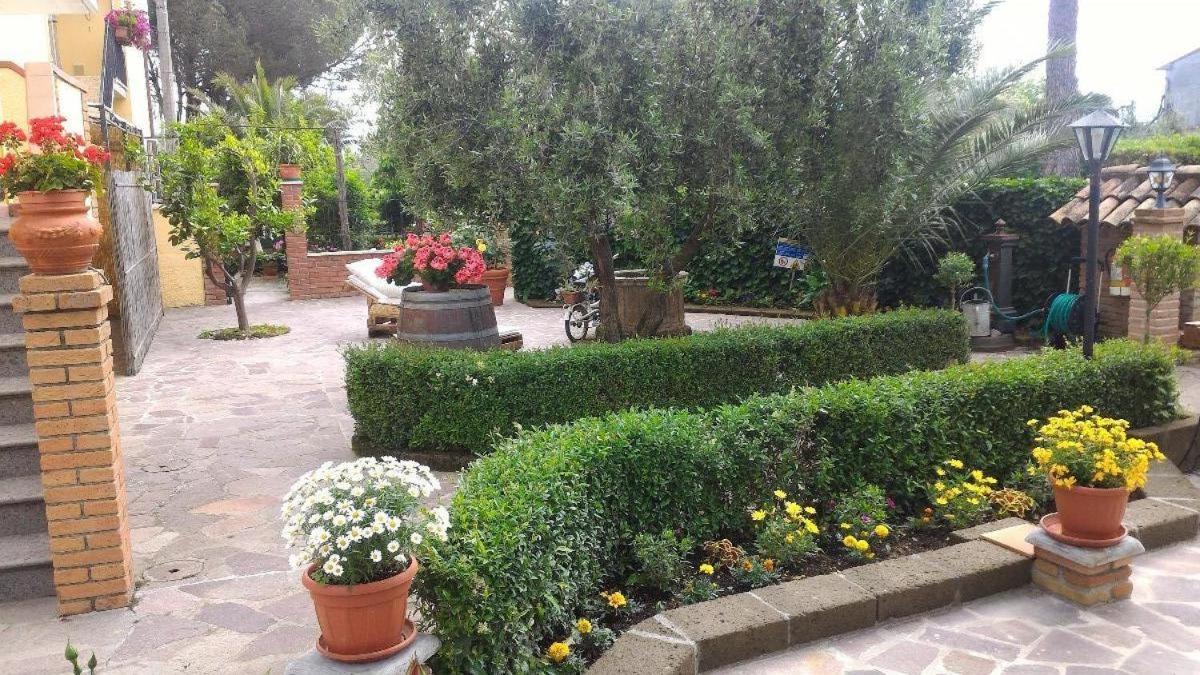 Bed And Breakfast Val Di Lupa Castellina Marittima Kültér fotó